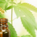 Wellness Within Reach: The Benefits of Affordable CBD Products