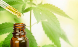 Wellness Within Reach: The Benefits of Affordable CBD Products