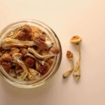 Shrooms Near Me: A Natural Mood Booster