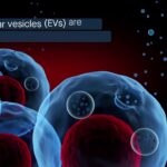Unveiling the Secrets: Extracellular Vesicles from the Tissue Microenvironment