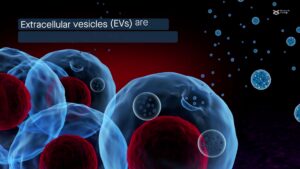 Unveiling the Secrets: Extracellular Vesicles from the Tissue Microenvironment