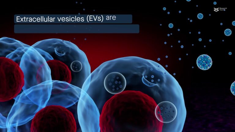 Unveiling the Secrets: Extracellular Vesicles from the Tissue Microenvironment