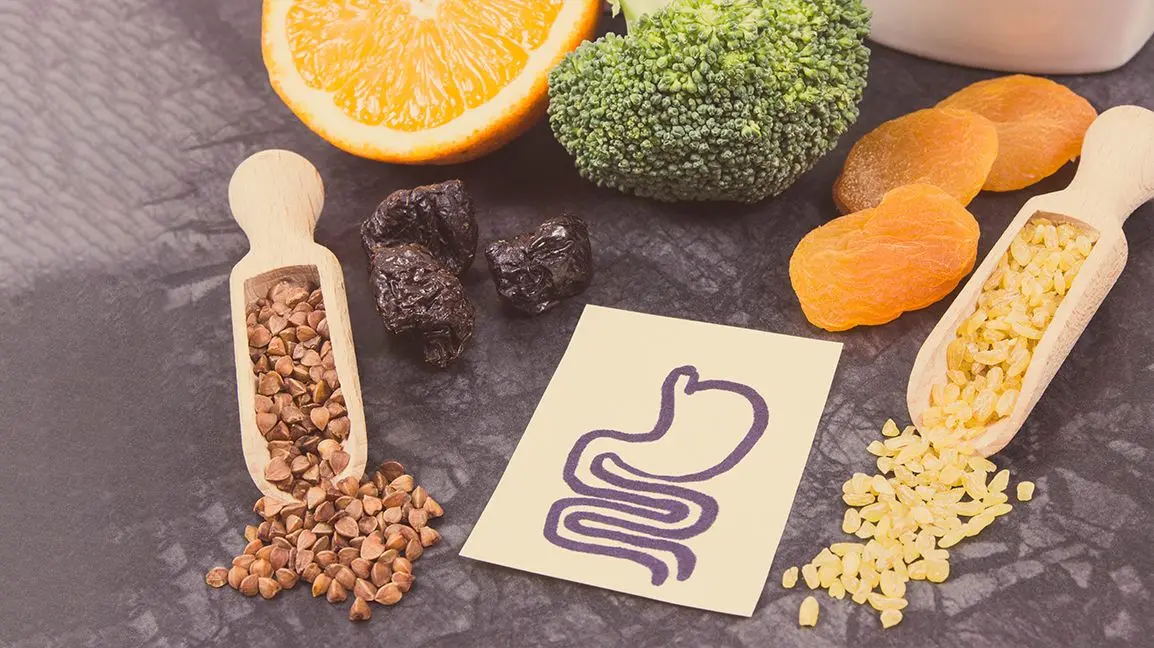 Probiotic Powerhouse: Getting the Right Processing Right for a Healthy Digestive and Metabolic System